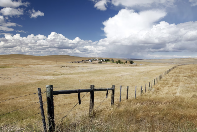 Barbed wire disappears to the horizon in Wyoming, where a single county has been found to have 4,500 miles of fencing. Photograph by Alfred Buellesbach, VISUM/Redux