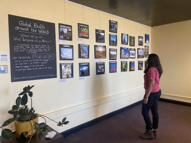 Student interacting with photo exhibit