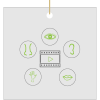 Video reel surrounded by 5 senses graphic