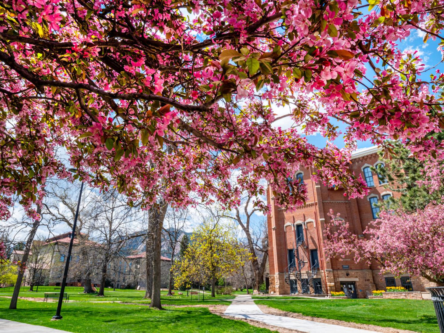 Photo of Campus