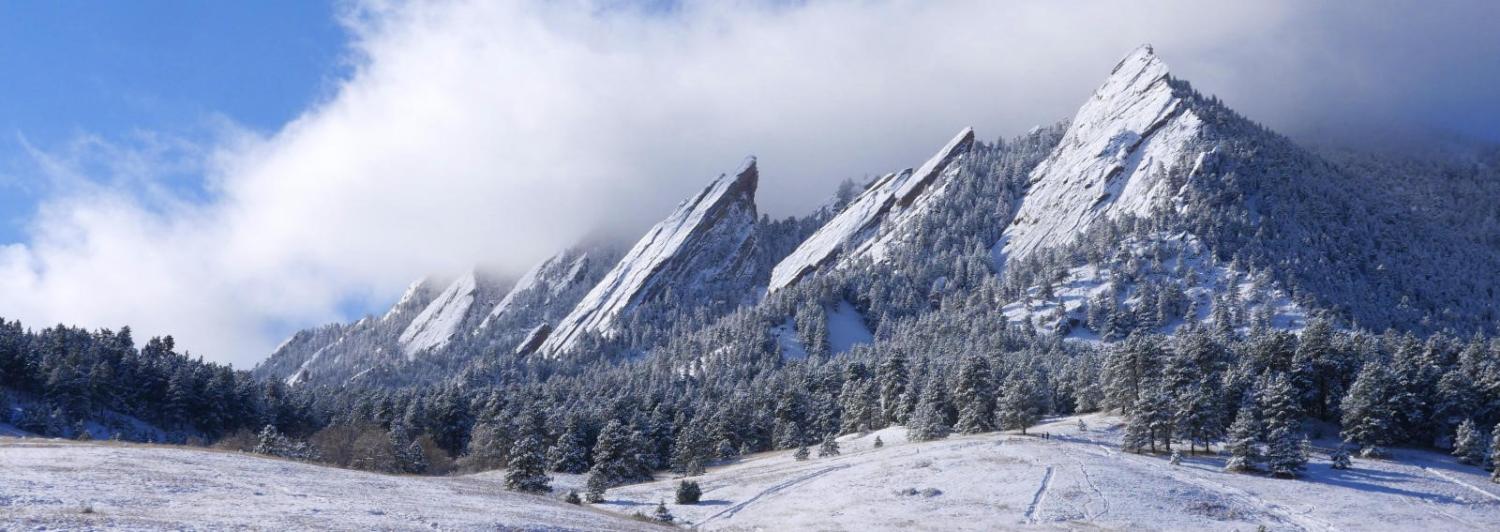 snow scene