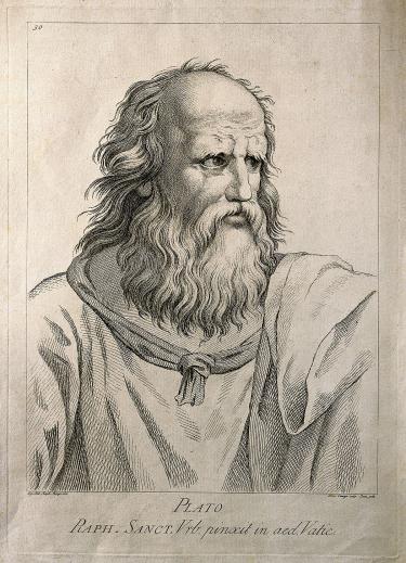 Plato Headshot