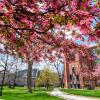 Photo of Campus