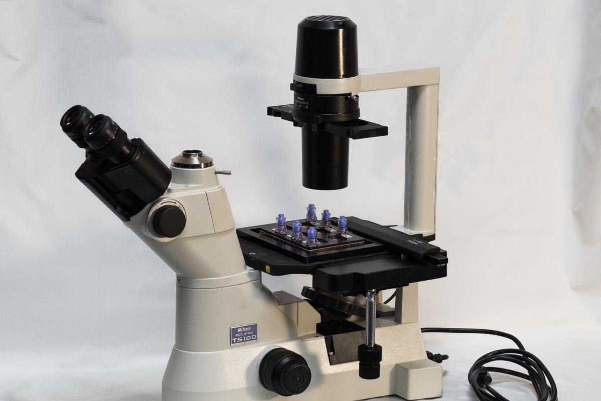BioServe Microscope