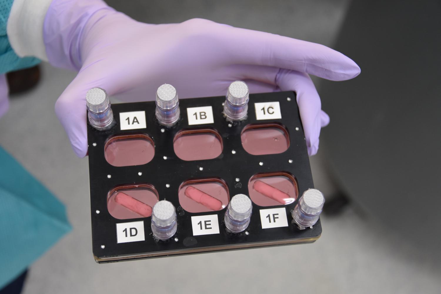 Six-Well BioCell being prepared for flight