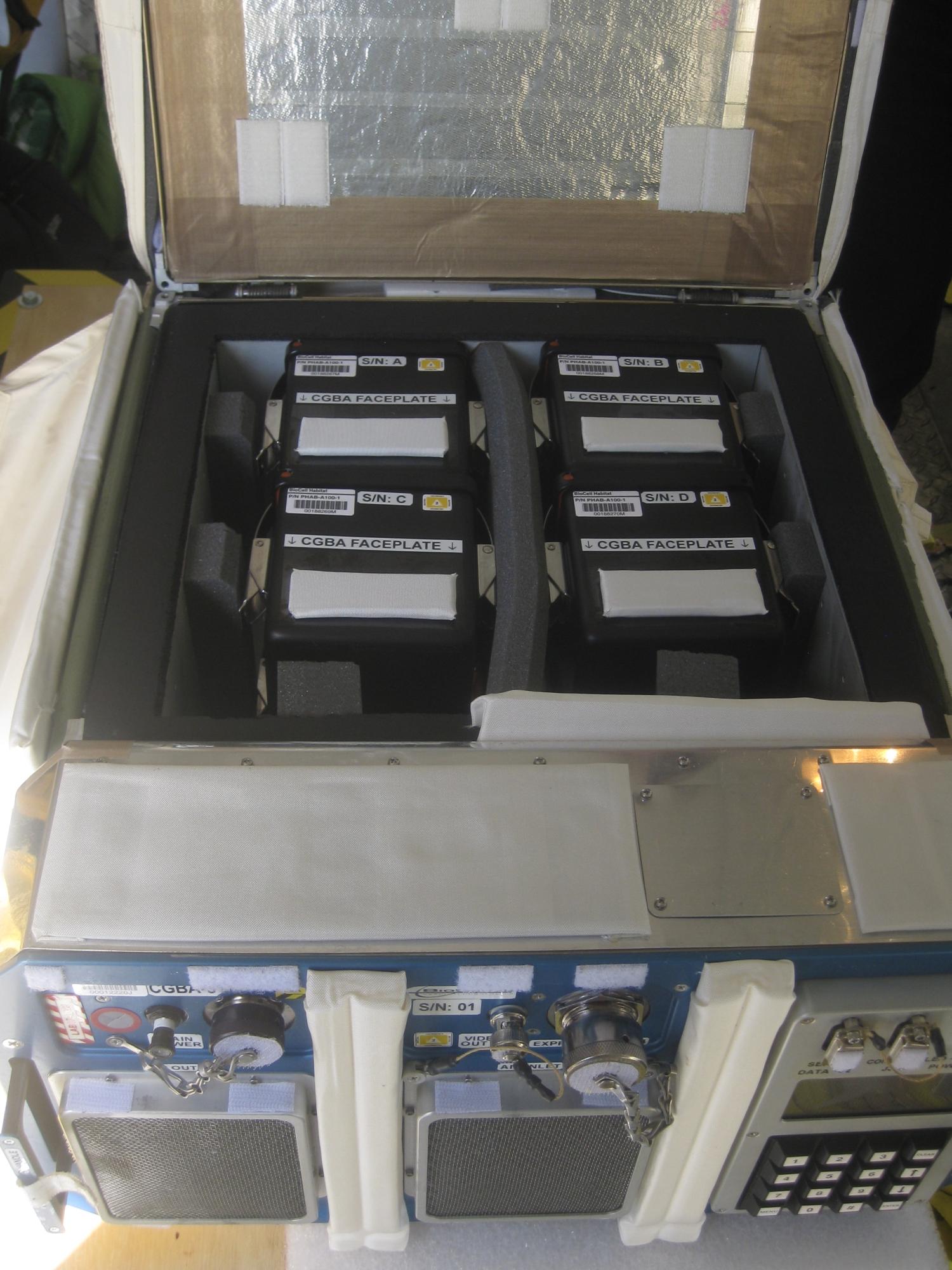 CGBA loaded with PHABs
