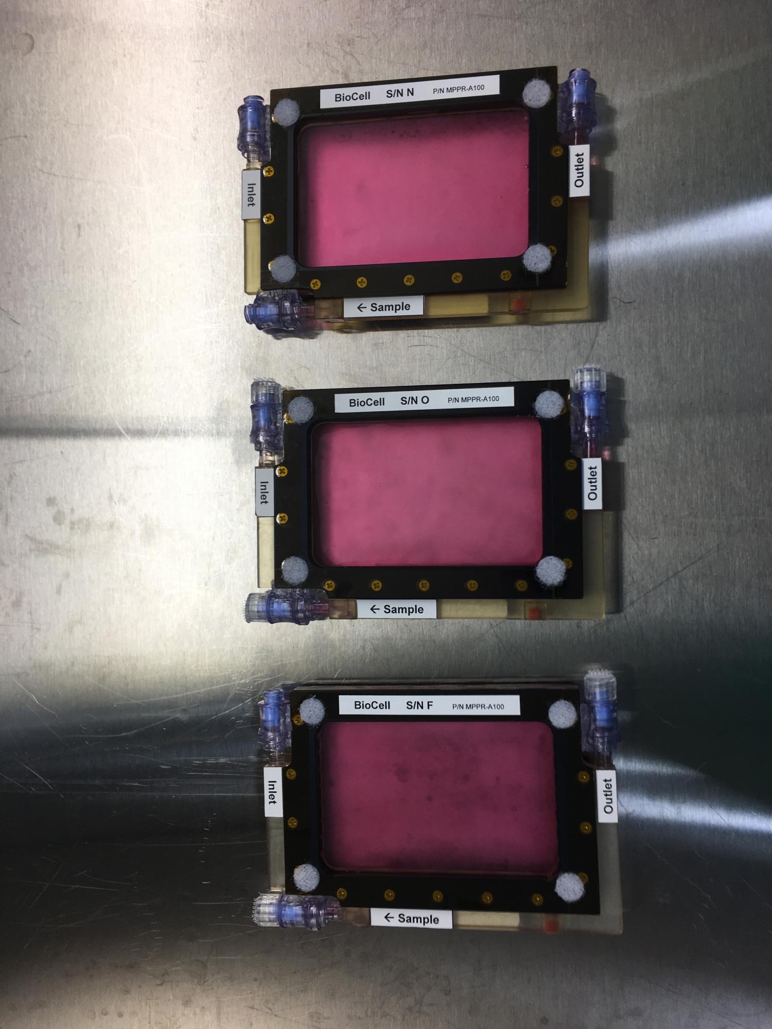 Single-Well BioCells filled with growth media being prepared for flight