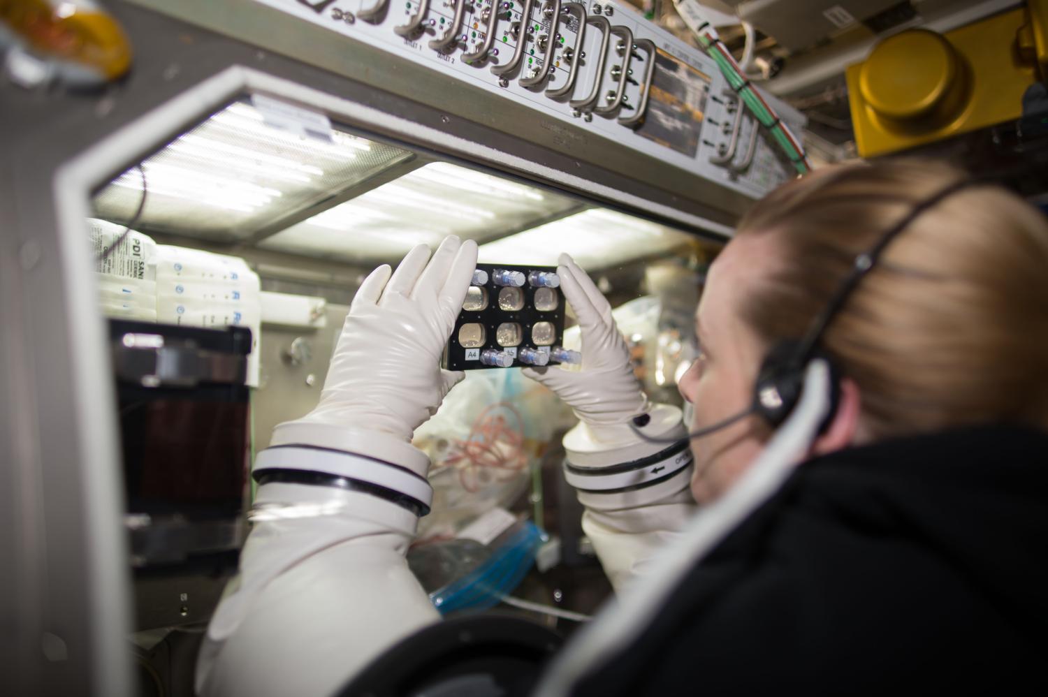NASA astronaut Kate Rubins inspecting a BioCell in MSG during the Heart Cells experiment