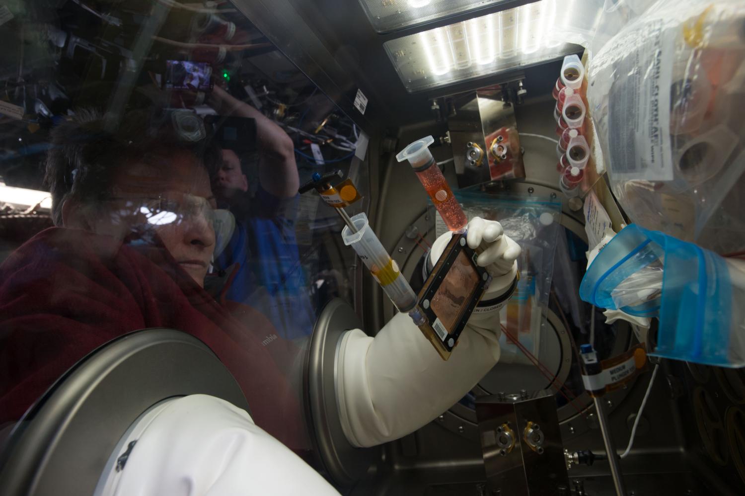NASA astronaut Peggy Whitson performing a media change on a single-well BioCell