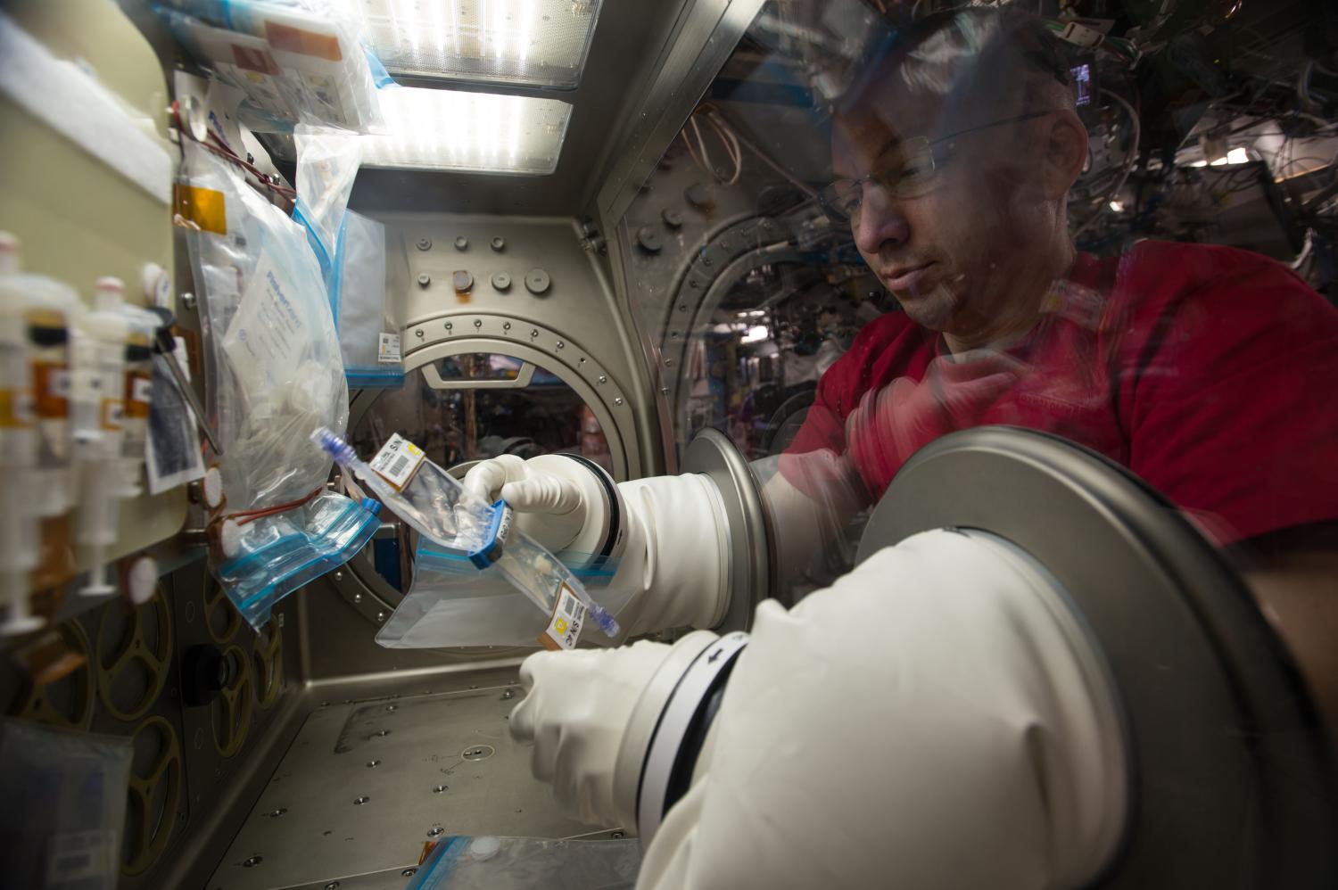 NASA astronaut Randy Bresnik working with TPK hardware during the Lung Tissue experiment