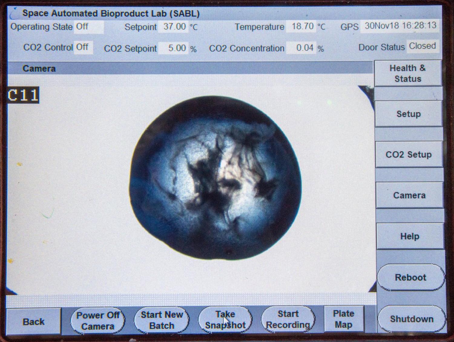 SABL BSMP Crew Interface displaying a protein crystal shower during the PCG-16 experiment