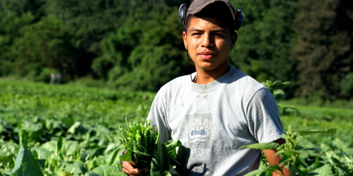 Agricultural worker