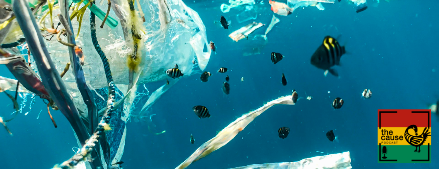 Ep 16: Environmental Justice