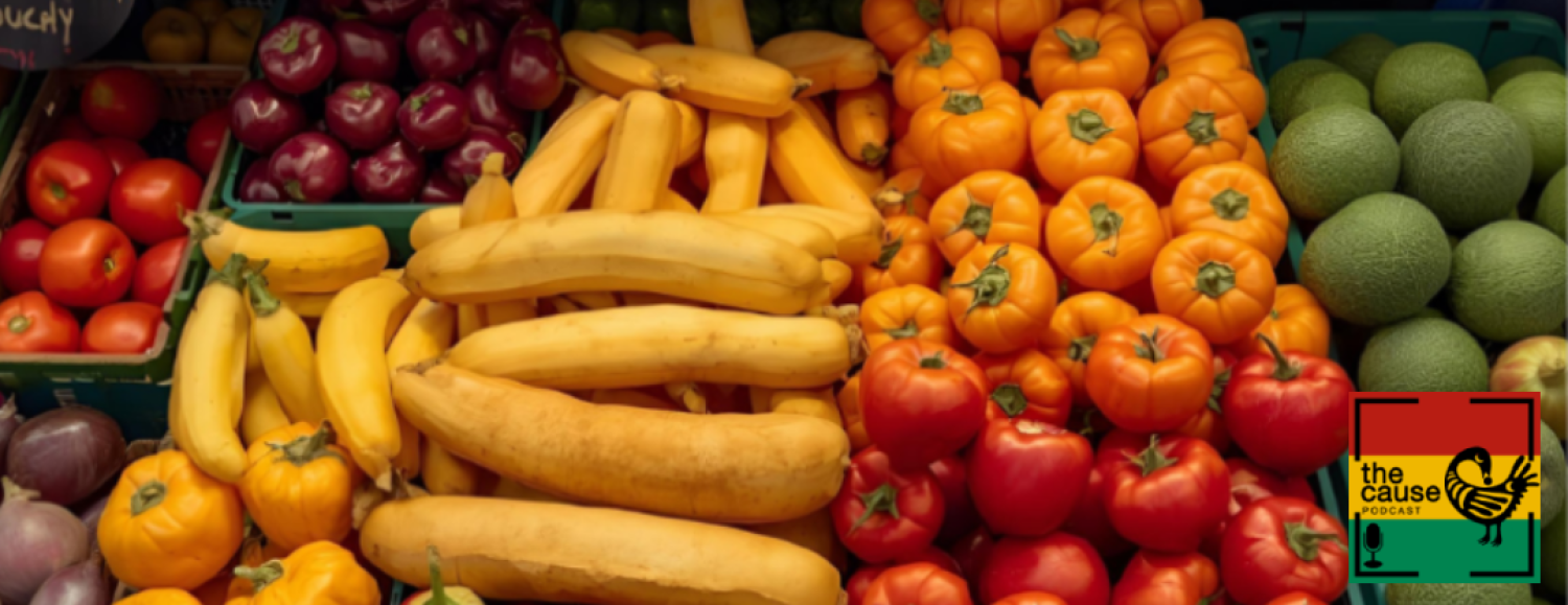 The Cause Podcast: Ep 17: Food Justice