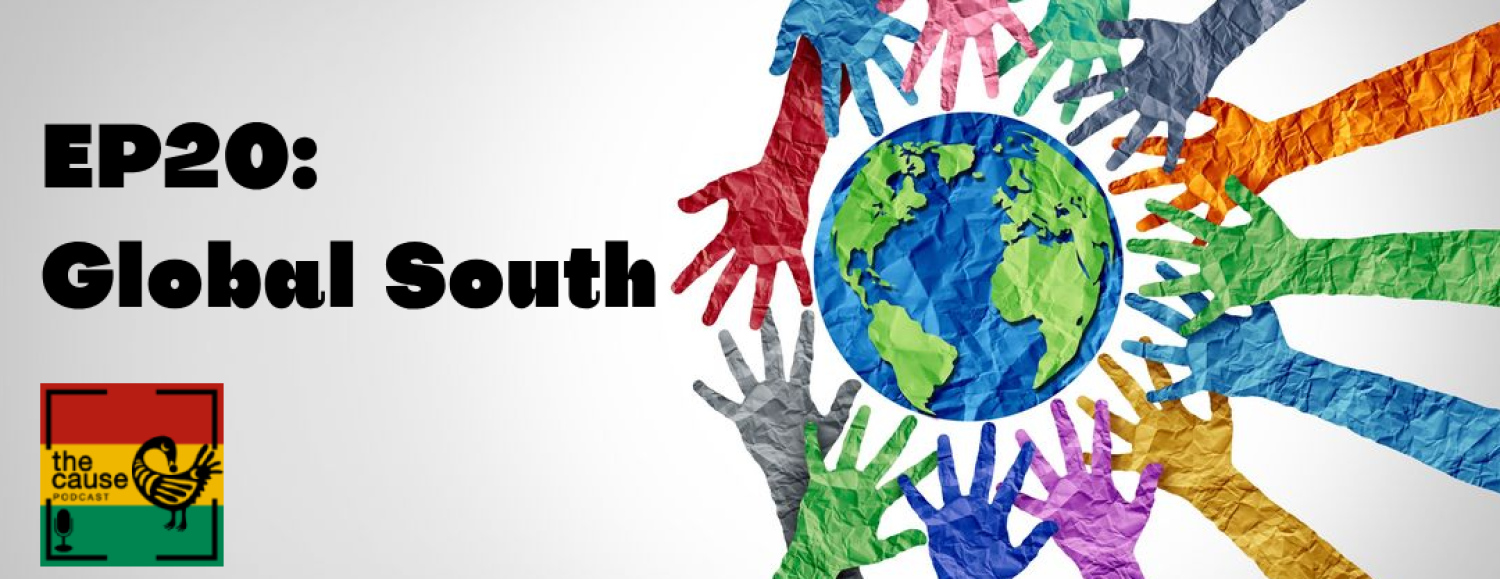 Episode 20: Global South