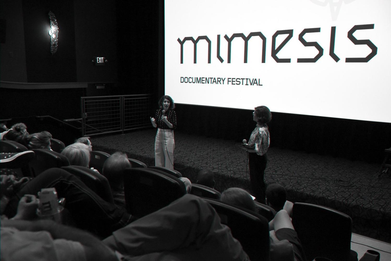 Lynne sachs responds at Mimesis 2021.