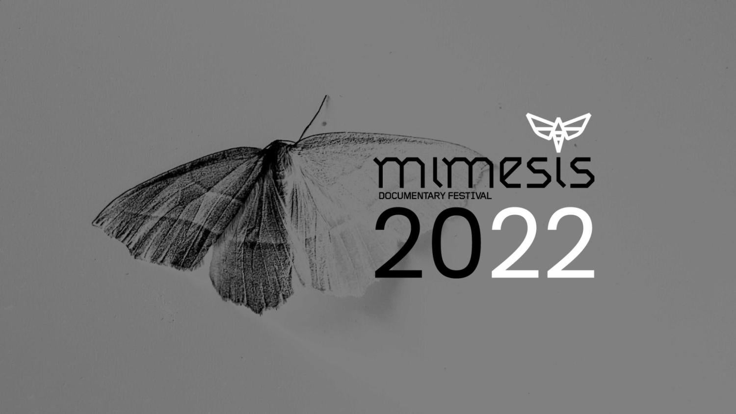 a moth in gray. Text on the image: mimesis documentary festival 2022