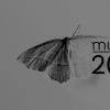 a moth in gray. Text on the image: mimesis documentary festival 2022