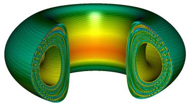 Electrostatic potential of a toroidal plasma calculated by the GEM gyrokinetic turbulence code.