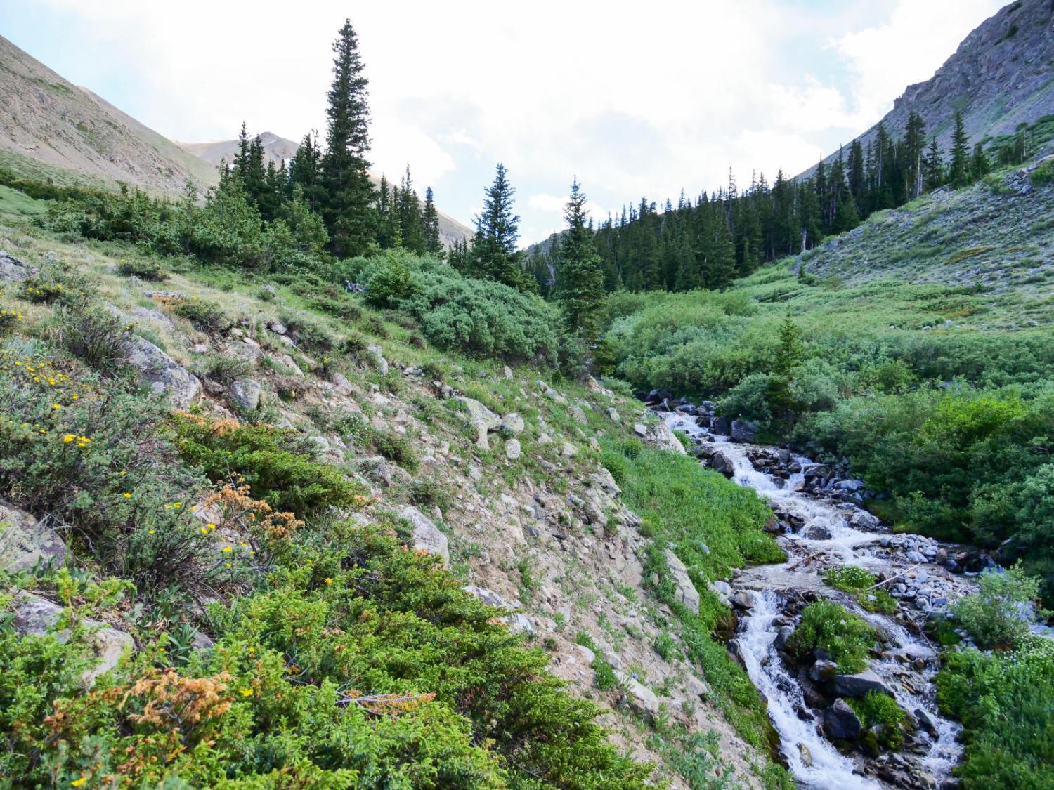 stream in mountain valley