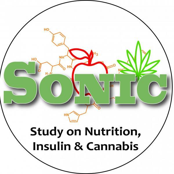 SONIC Logo