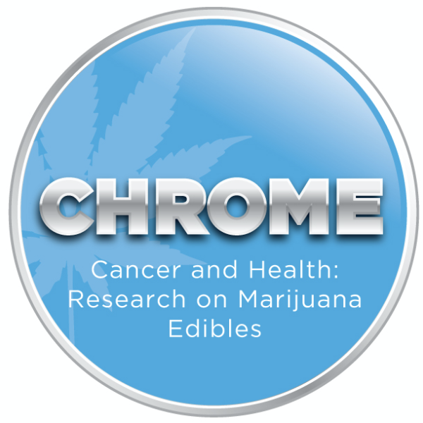 Chrome Logo