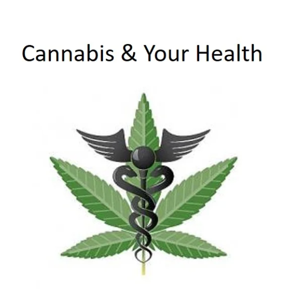 Cannabis & Your Health Survey Logo