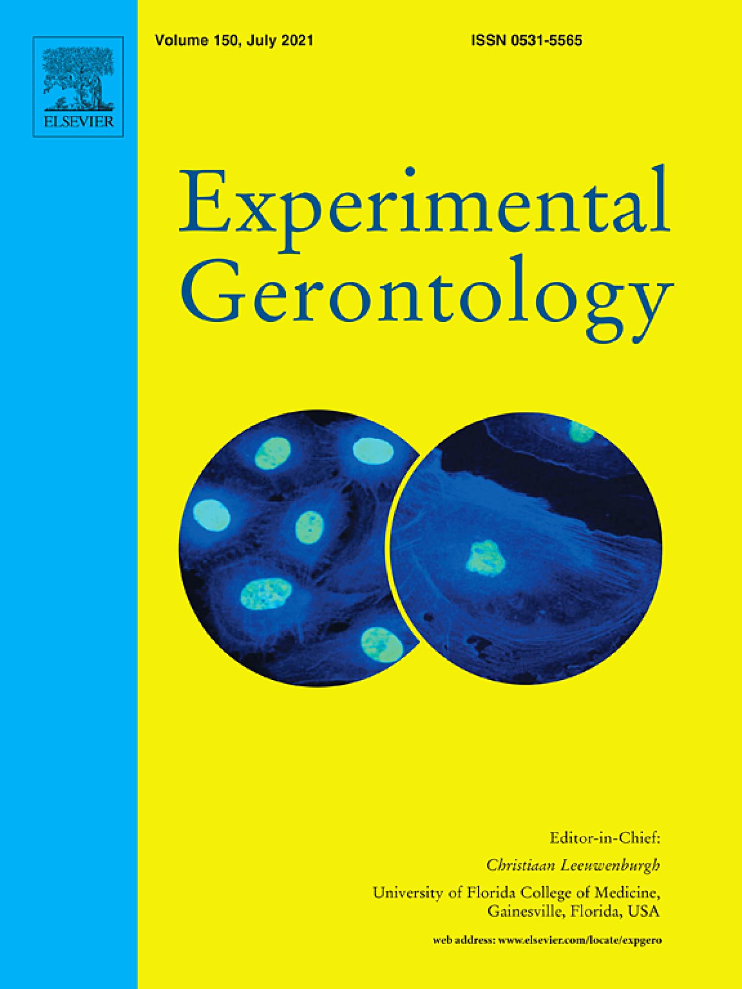 publication