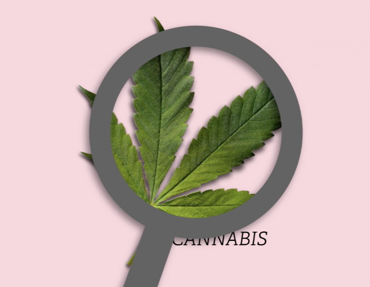mobile lab fundraising campaign video still of A cannabis leaf with a magnifying glass over it