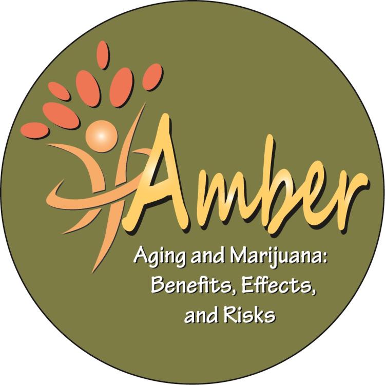 AMBER