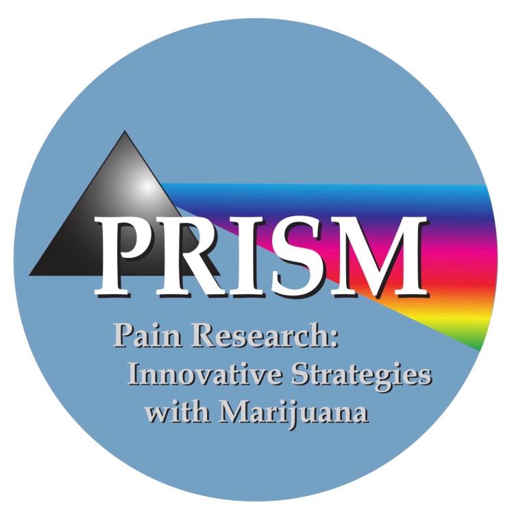 PRISM Pain Research: Innovative Strategies with Marijuana grey prism symobol and spectrum
