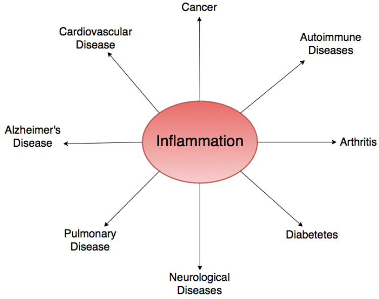 cannabis cbd cannabidiol inflammation