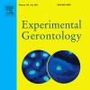 publication