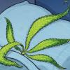 Cannabis