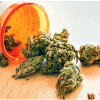 cannabis in a pill bottle