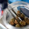 cannabis flower being grabbed from a jar with tweezers