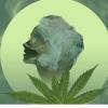 Weed