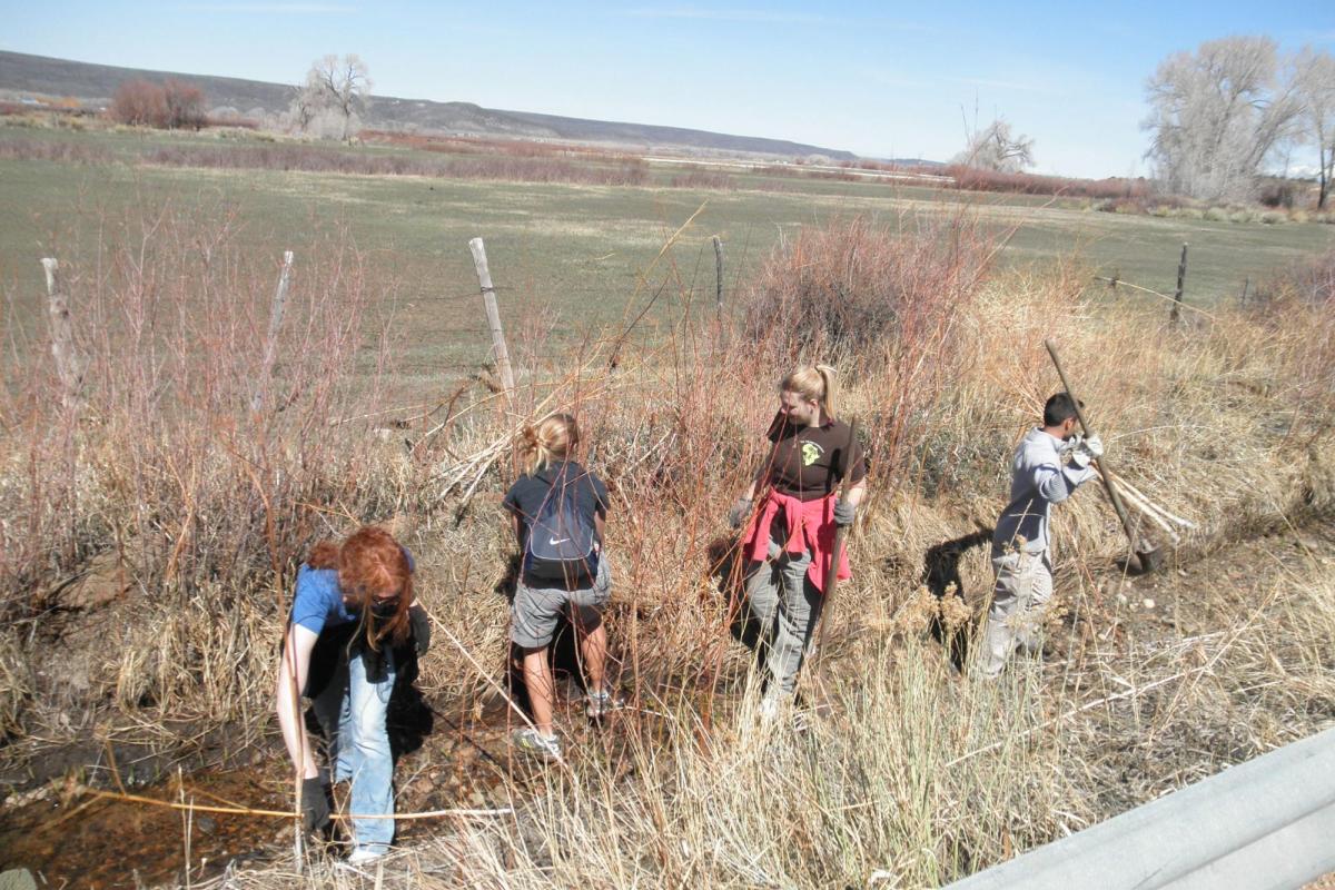 Acequia Project