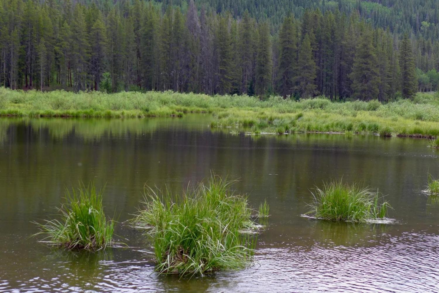 Homestake Creek