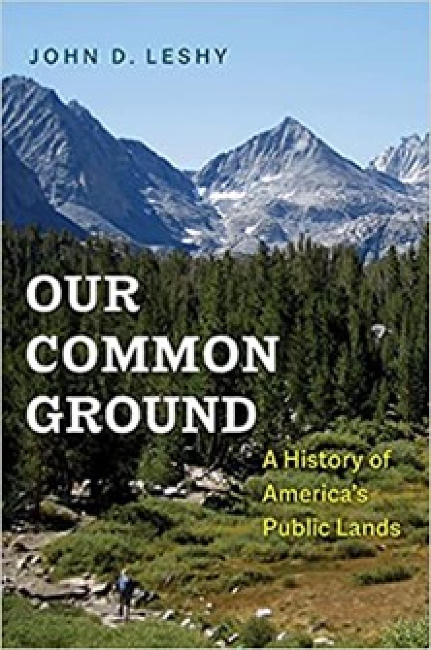 Our Common Ground