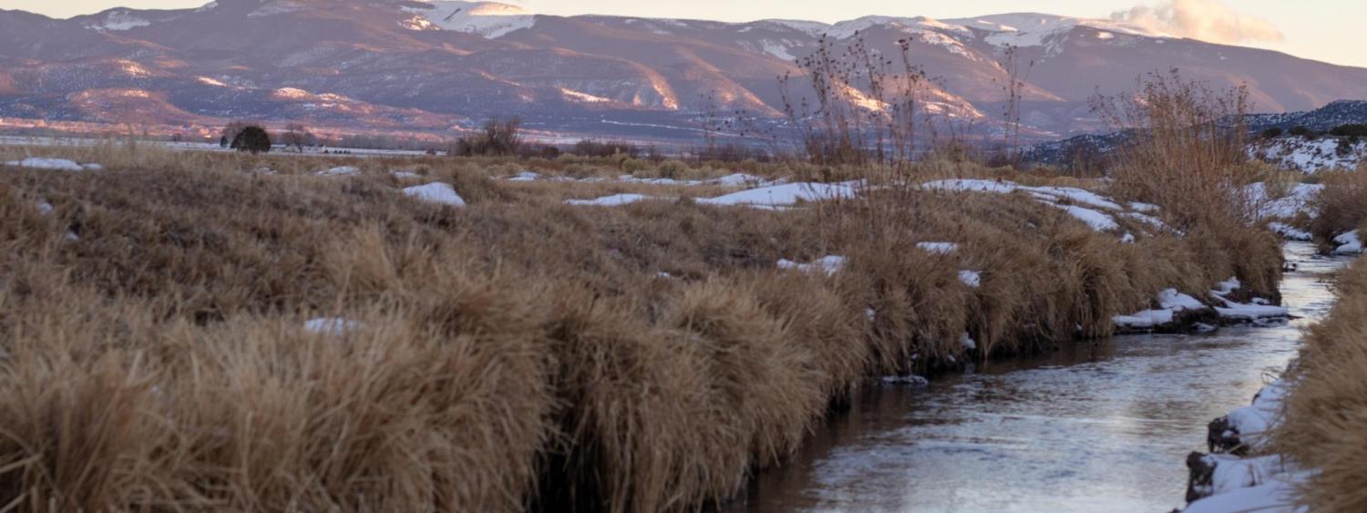 Acequia Project