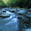 stream