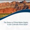 Policy Brief