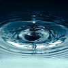 Ripple Effect: Tier Two Shortage Declarations and More