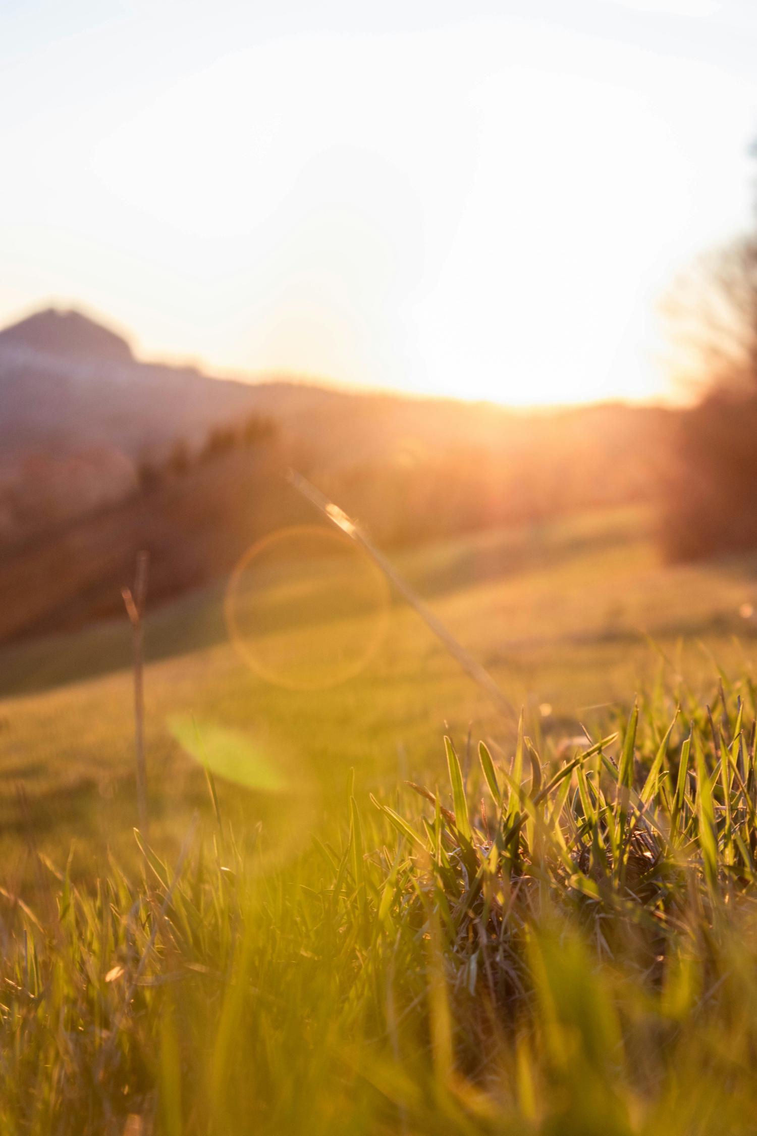 Sunrise over a meadow and mountains.