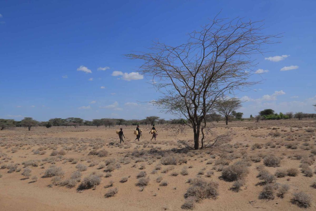 Women walking in desert with water