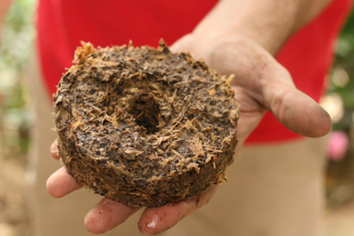 Briquette