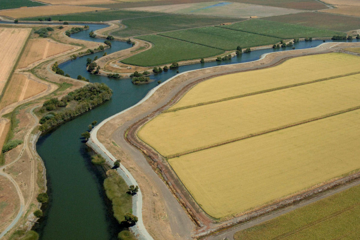 Aerial view of field and river