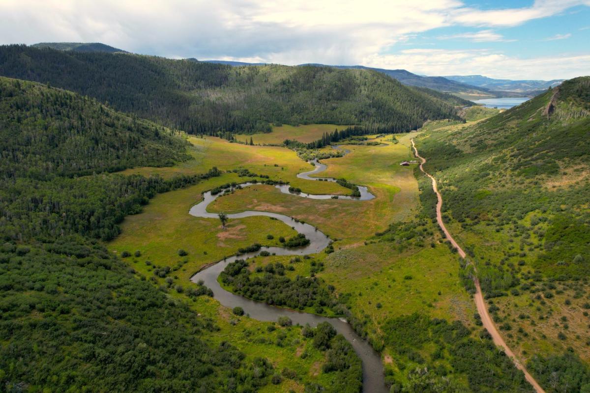 aerial view of a winding river