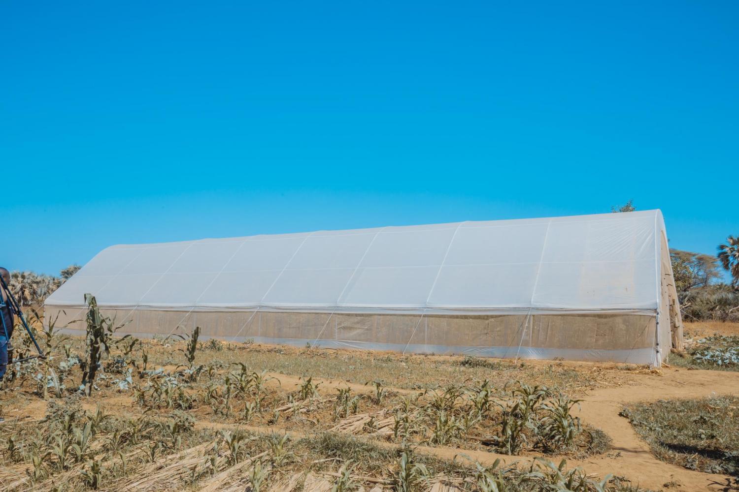 Greenhouse